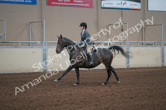 2019 Morgan Horse Show - Sept 01, 2019 - 10977