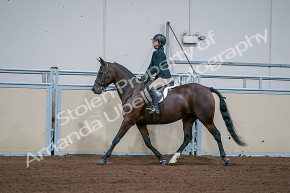 2020 - AB Morgan Horse - Fri, Sept 04 - 01670