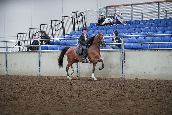 Spring Fling - Saturday - April 20, 2019  -  00750