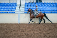 006 - MORGAN CLASSIC PLEASURE, JR RIDER