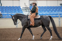 2019 Morgan Horse Show - Aug 31, 2019 - 06032