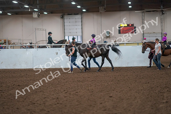2019 Morgan Horse Show - Aug 31, 2019 - 18889