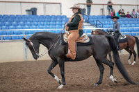 2019 Morgan Horse Show - Aug 31, 2019 - 06016