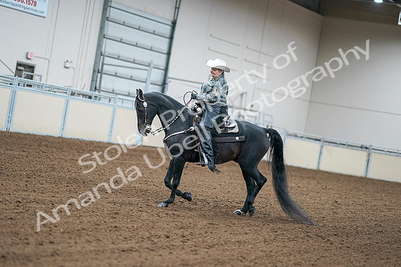 2020 - AB Morgan Horse - Fri, Sept 04 - 03587