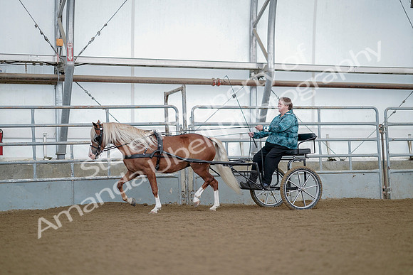 July 21, 2019 - 06635