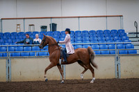 2019 Morgan Horse Show - Aug 30, 2019 - 21390