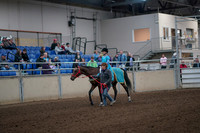 2019 Morgan Horse Show - Aug 31, 2019 - 09928
