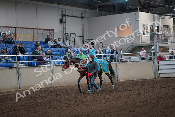 2019 Morgan Horse Show - Aug 31, 2019 - 09928