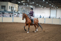 2020 - AB Morgan Horse - Fri, Sept 04 - 02211