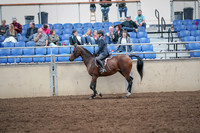 2019 Morgan Horse Show - Aug 31, 2019 - 21375
