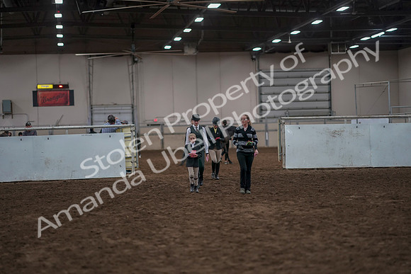 2019 Morgan Horse Show - Aug 31, 2019 - 03914