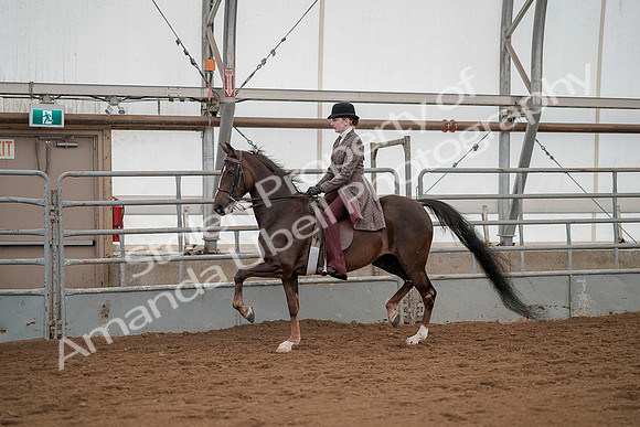 July 20, 2019 - 04246