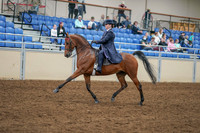 2020 - AB Morgan Horse - Sat, Sept 05 - 09691