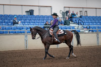 2019 Morgan Horse Show - Aug 31, 2019 - 10544