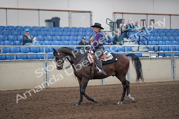 2019 Morgan Horse Show - Aug 31, 2019 - 10544