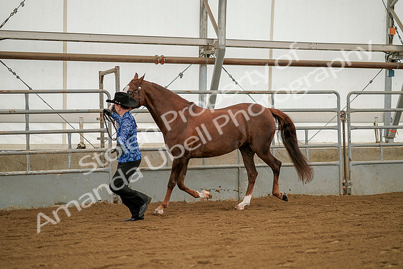 July 19, 2019 - 1278