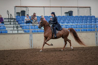2019 Morgan Horse Show - Aug 30, 2019 - 26764