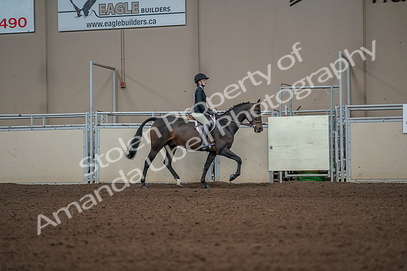 2019 Morgan Horse Show - Aug 31, 2019 - 05155