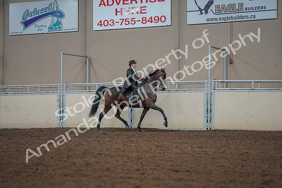 2019 Morgan Horse Show - Aug 30, 2019 - 28097