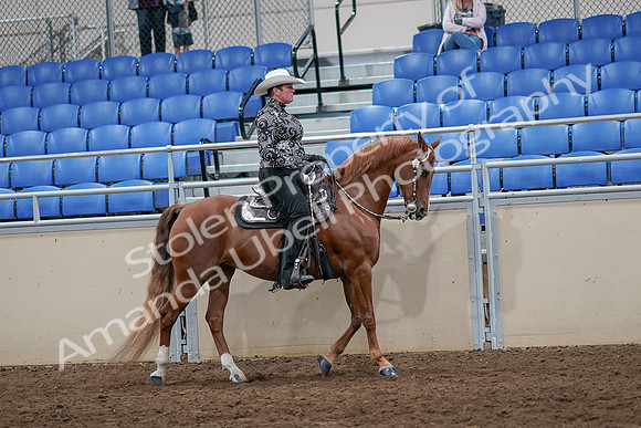 2020 - AB Morgan Horse - Sun, Sept 06 - 07551