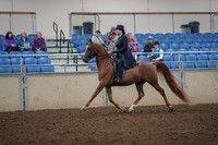 2019 Morgan Horse Show - Aug 30, 2019 - 26769