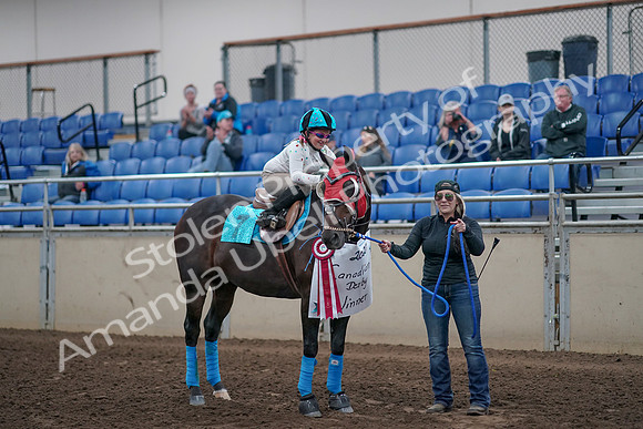 2019 Morgan Horse Show - Aug 31, 2019 - 10225