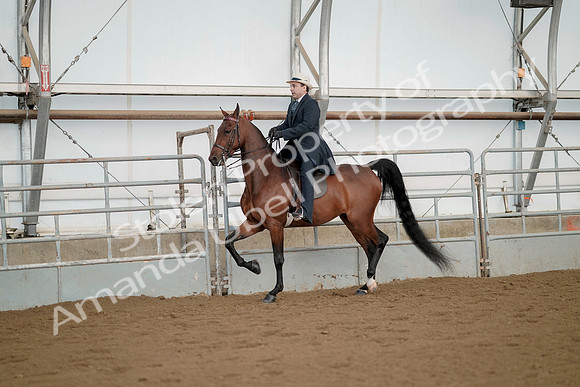 July 21, 2019 - 01649