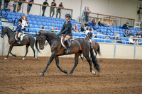 2020 - AB Morgan Horse - Sat, Sept 05 - 10601