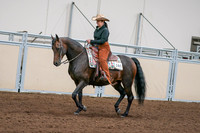 2020 - AB Morgan Horse - Sun, Sept 06 - 01550