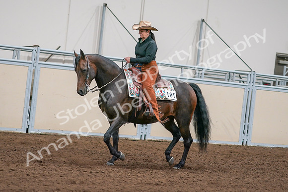 2020 - AB Morgan Horse - Sun, Sept 06 - 01550