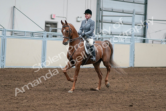 2020 - AB Morgan Horse - Sat, Sept 05 - 03251