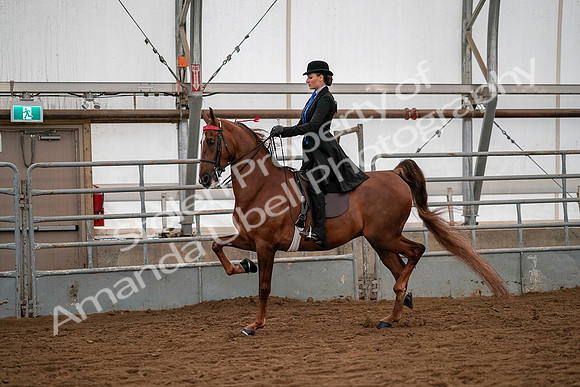 July 19, 2019 - 10306