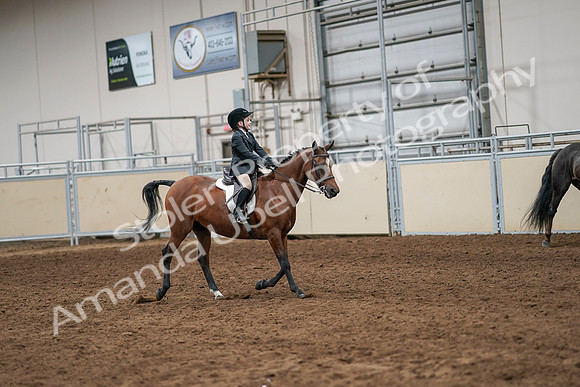2020 - AB Morgan Horse - Sun, Sept 06 - 07984