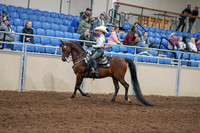 2020 - AB Morgan Horse - Sun, Sept 06 - 07462