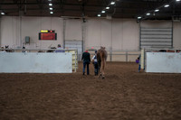 2019 Morgan Horse Show - Aug 31, 2019 - 02837