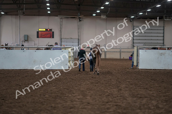 2019 Morgan Horse Show - Aug 31, 2019 - 02837