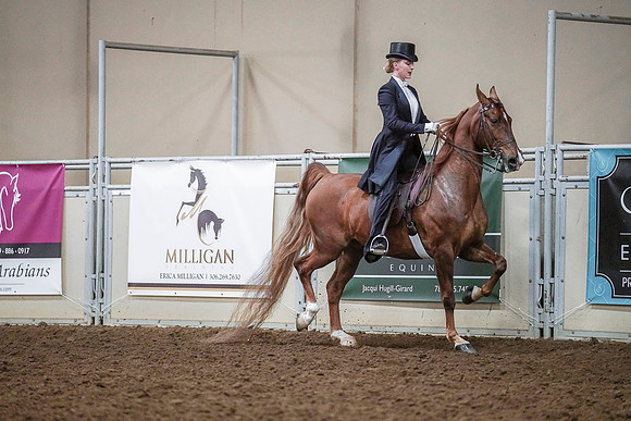 Spring Fling - Saturday - April 20, 2019  -  04243