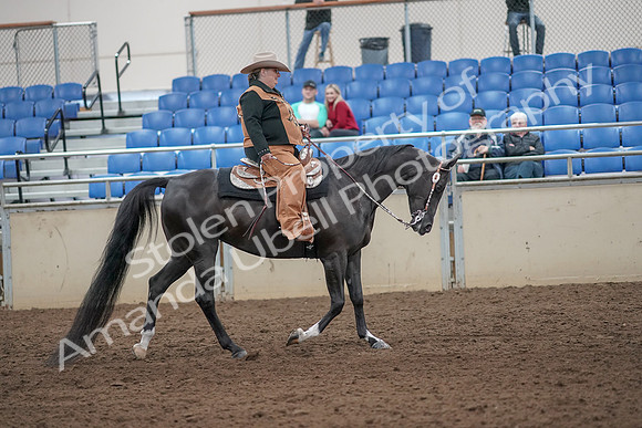 2019 Morgan Horse Show - Aug 31, 2019 - 06216