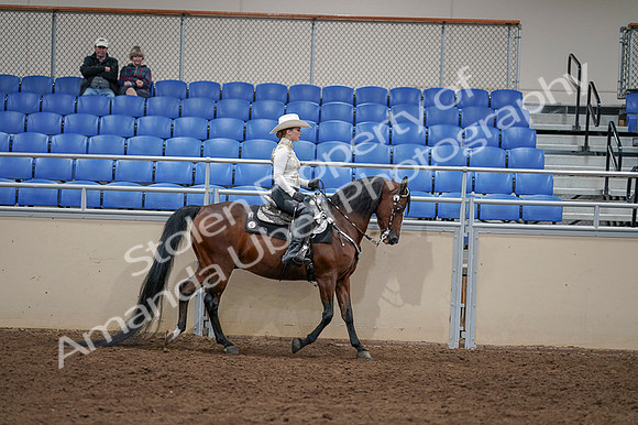 2020 - AB Morgan Horse - Fri, Sept 04 - 08451