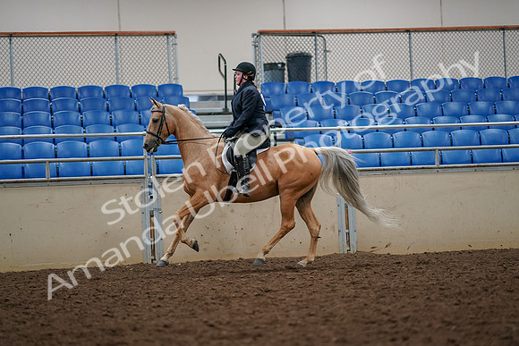 2019 Morgan Horse Show - Aug 30, 2019 - 22370