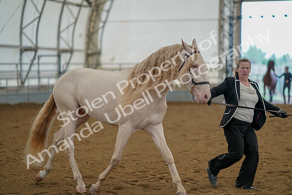 July 19, 2019 - 1157