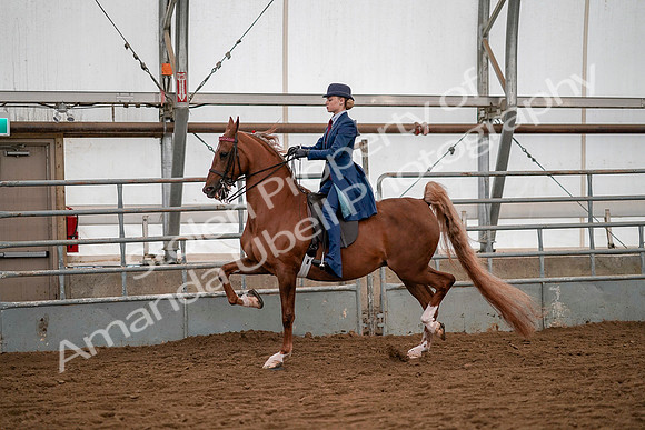 July 19, 2019 - 10371