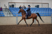2019 Morgan Horse Show - Aug 30, 2019 - 28361