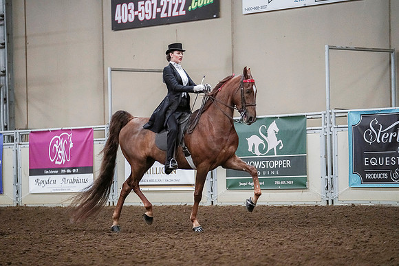 Spring Fling - Saturday - April 20, 2019  -  04172