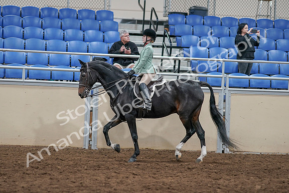 2020 - AB Morgan Horse - Sun, Sept 06 - 07814