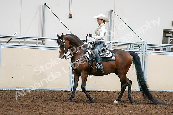 2020 - AB Morgan Horse - Sat, Sept 05 - 08979