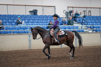 2019 Morgan Horse Show - Aug 31, 2019 - 10546