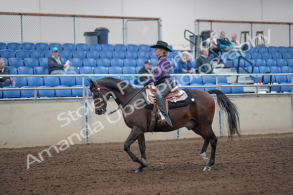 2019 Morgan Horse Show - Aug 31, 2019 - 10546