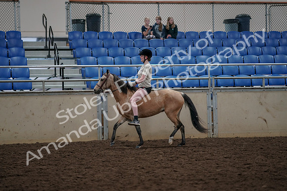 2019 Morgan Horse Show - Aug 30, 2019 - 31068