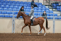 2020 - AB Morgan Horse - Sat, Sept 05 - 02610
